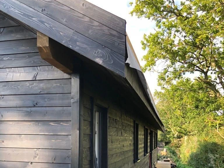 Roof and eaves detail along the side elevation