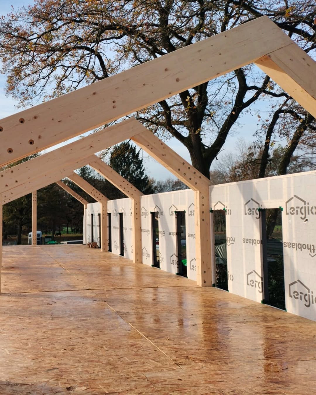 Interior deck and timber frame sequence inside the Vasse project