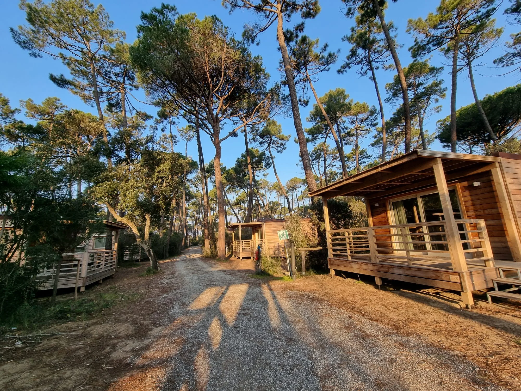 Repeated timber accommodation along a wooded PuntAla resort lane